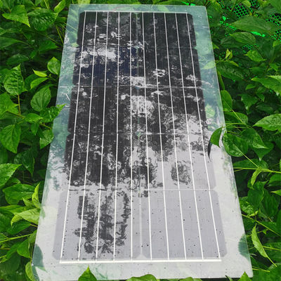 ভালো দাম 30W 40W 50W 60W 80W সোলার প্যানেল পিইটি সেমি ট্রান্সপারেন্ট সোলার প্যানেল 1000V অনলাইন